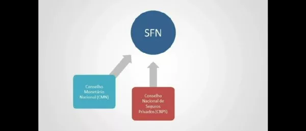 Sistema Financeiro Nacional - Estrutura e entidades do Sistema Financeiro Nacional - Estrutura Geral